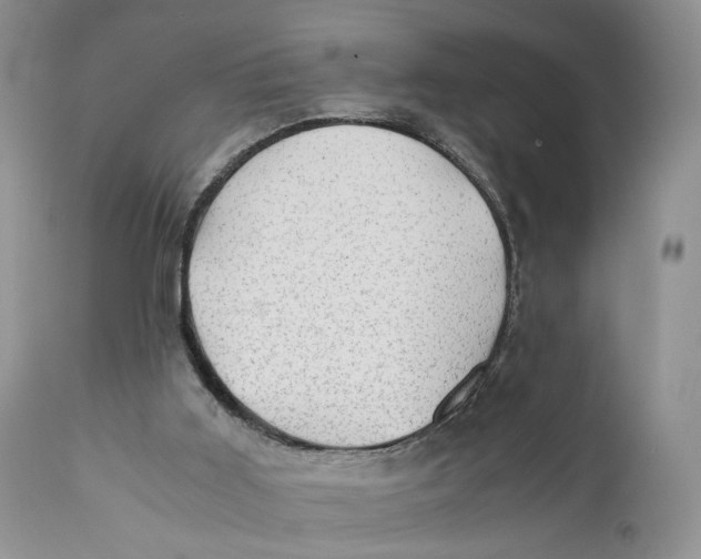 X0000110930011200907091532