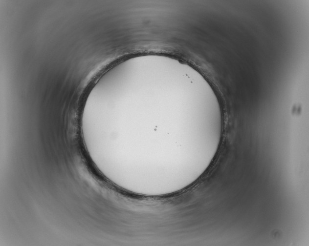 X0000110930012200907091532