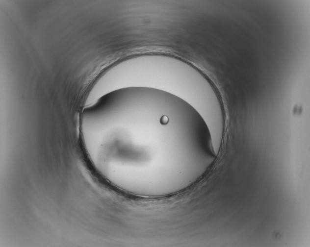 X0000110930013200907091532