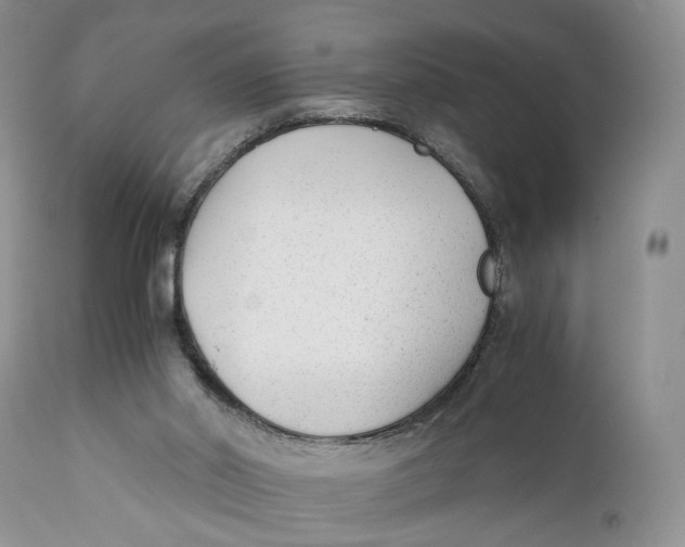 X0000110930014200907091532