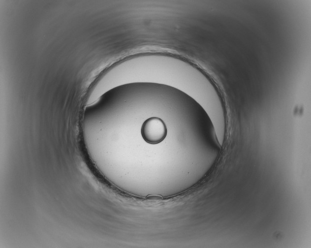 X0000110930015200907091532