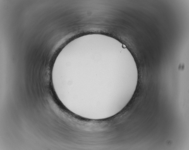 X0000110930016200907091532