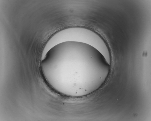 X0000110930017200907091532
