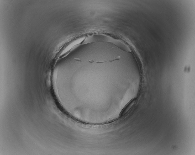 X0000110930019200907091532