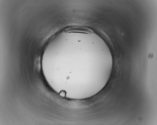 X0000110930020200907091532