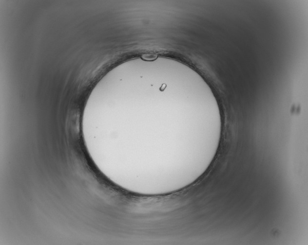 X0000110930021200907091532