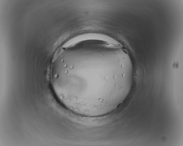 X0000110930023200907091532