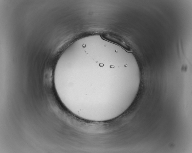 X0000110930024200907091532