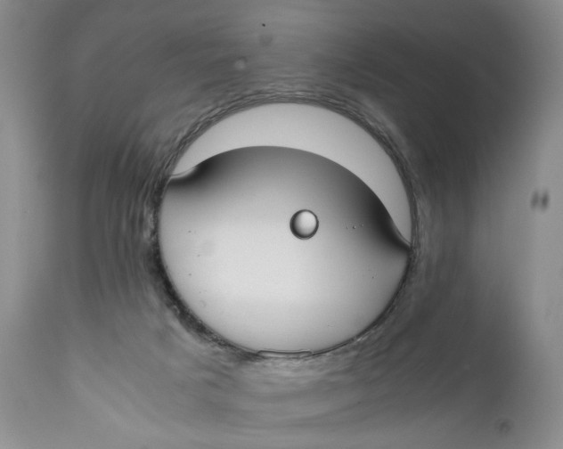 X0000110930025200907091532