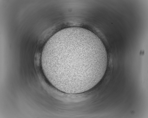 X0000110930026200907091532