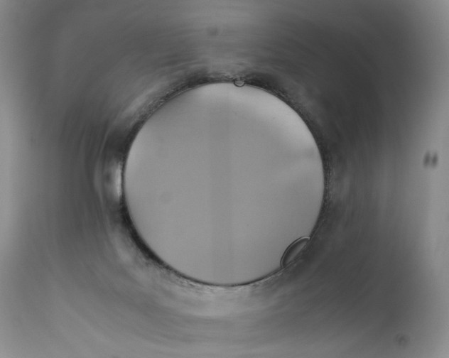 X0000110930027200907091531