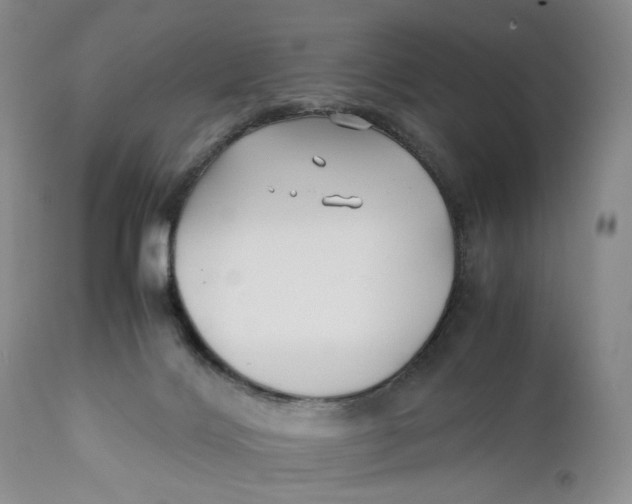 X0000110930028200907091531