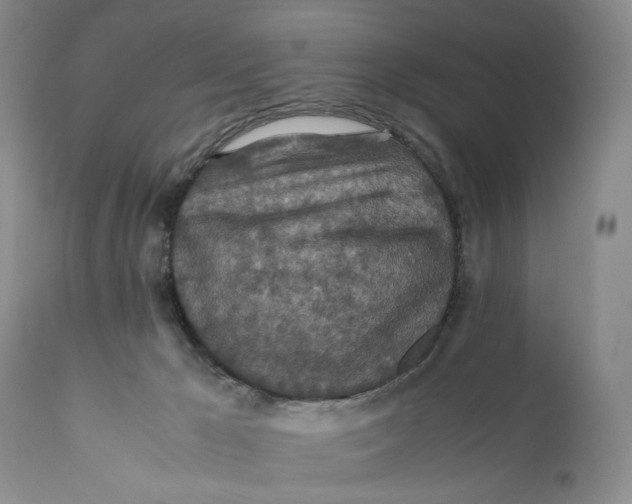 X0000110930029200907091531