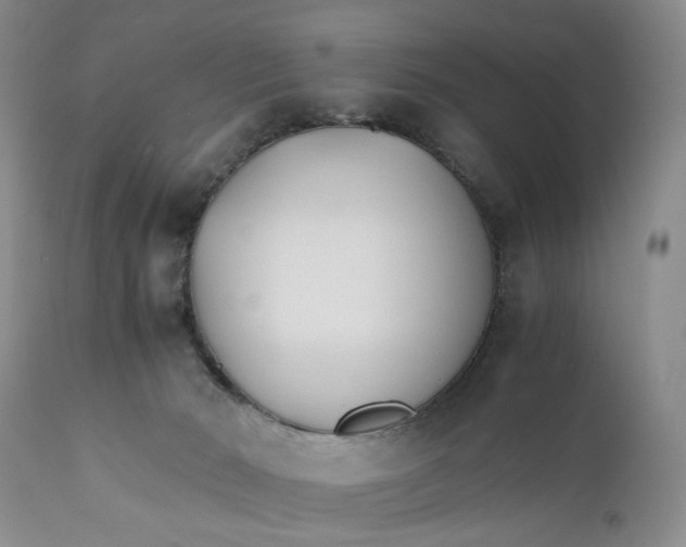X0000110930030200907091531