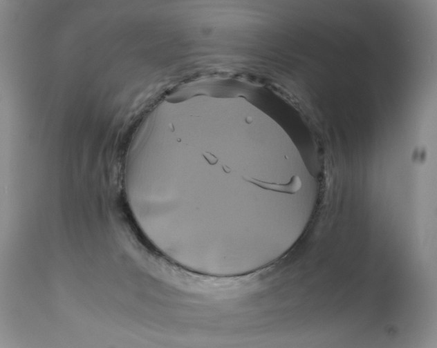 X0000110930031200907091531