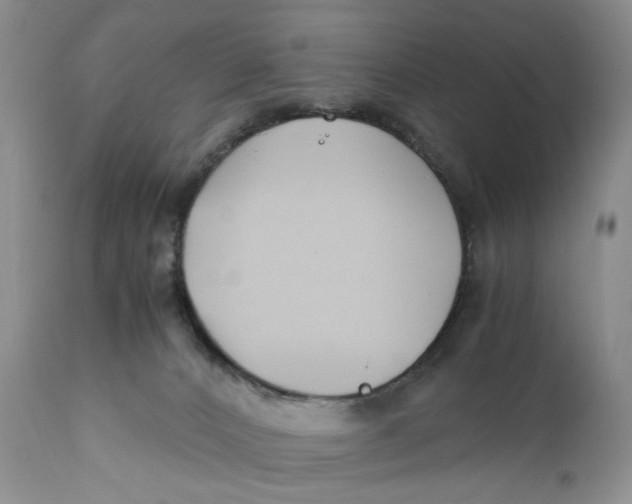 X0000110930032200907091531