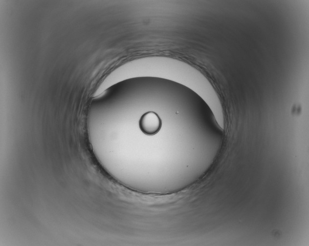 X0000110930035200907091531