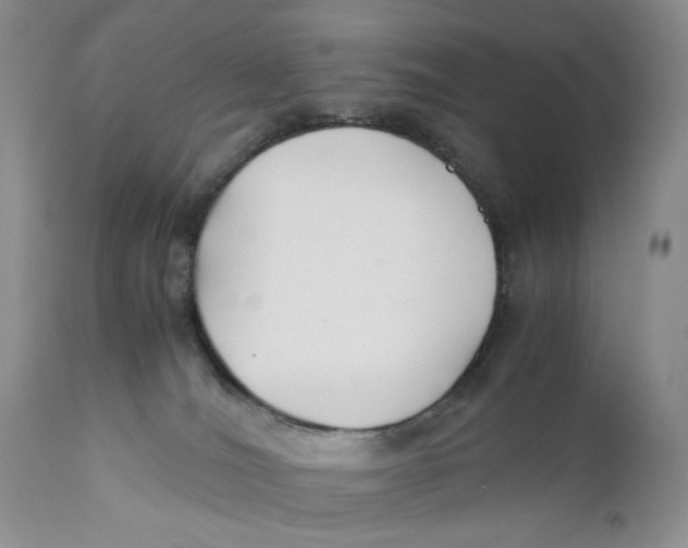 X0000110930036200907091531
