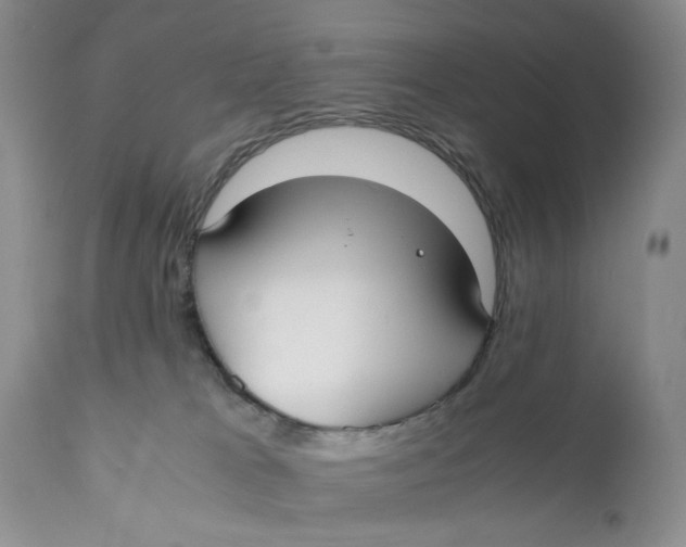 X0000110930037200907091531