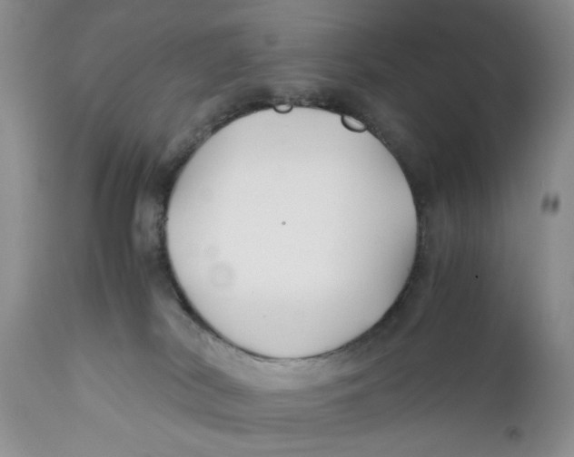 X0000110930038200907091531