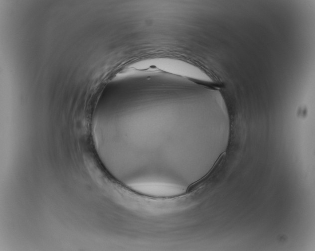 X0000110930039200907091531