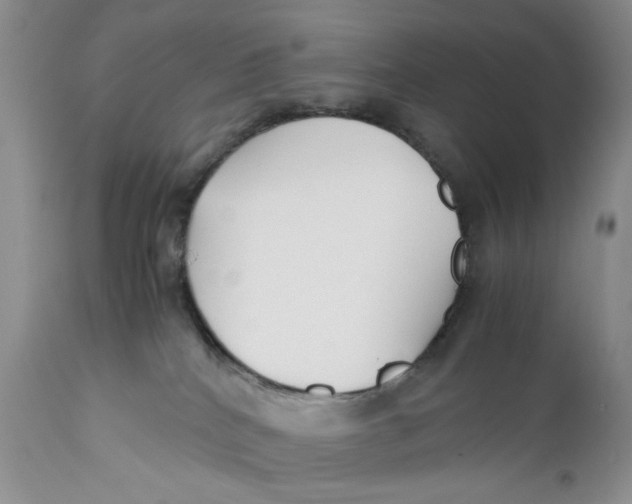 X0000110930040200907091531