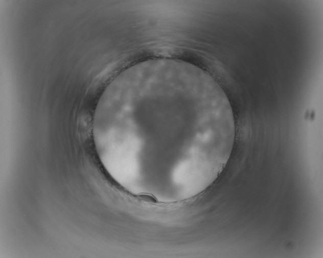 X0000110930043200907091531