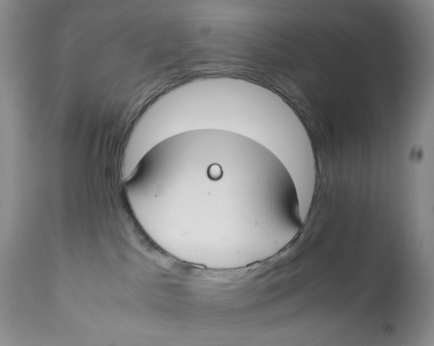 X0000110930045200907091531