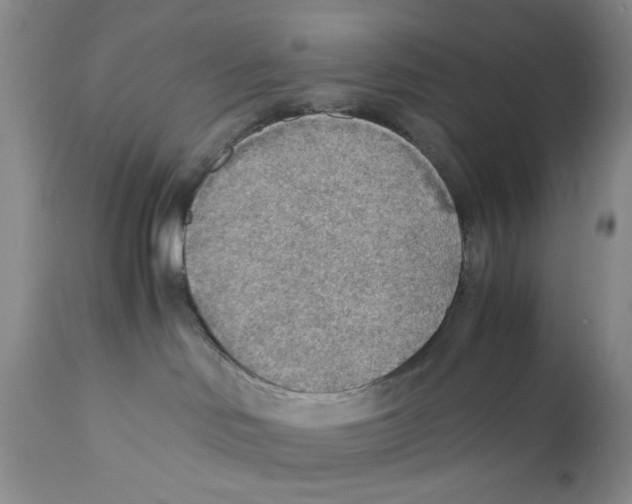 X0000110930046200907091531