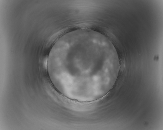X0000110930047200907091531