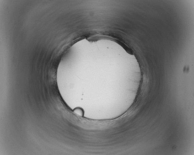 X0000110930048200907091531