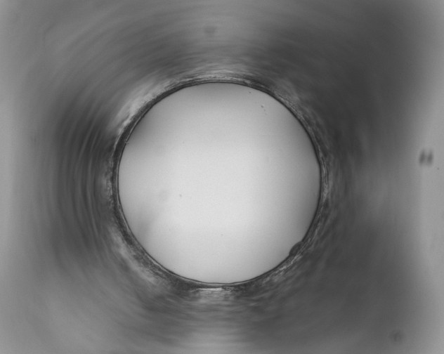 X0000110930050200907091531