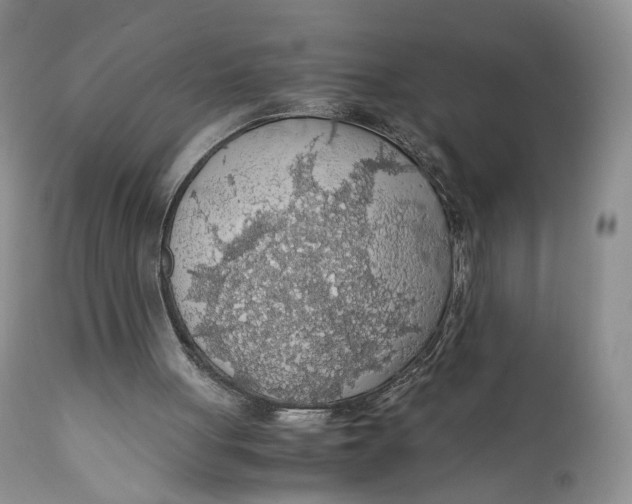 X0000110930051200907091531