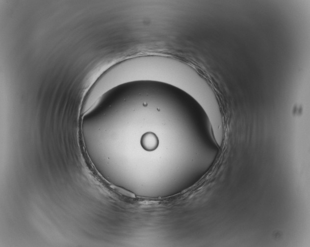 X0000110930052200907091531