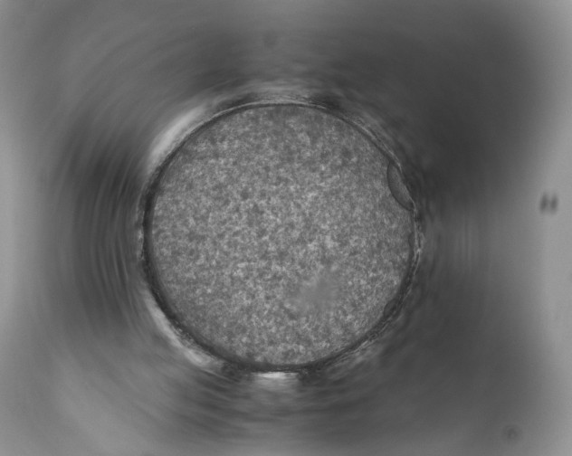 X0000110930053200907091531