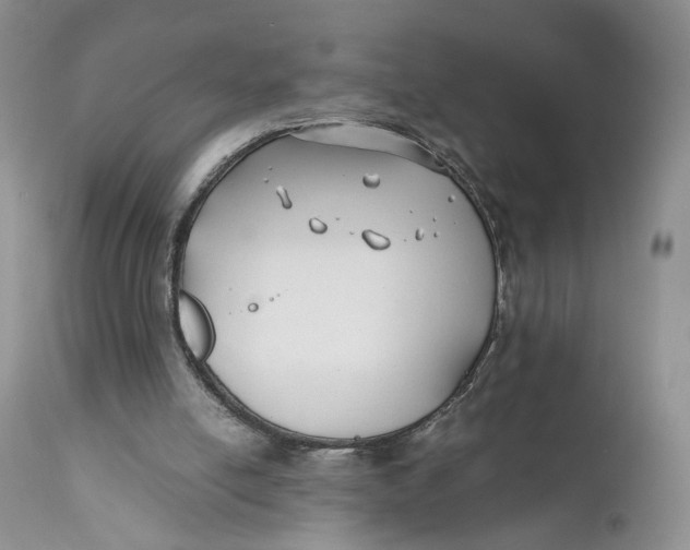 X0000110930054200907091531