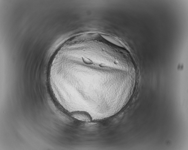 X0000110930055200907091531