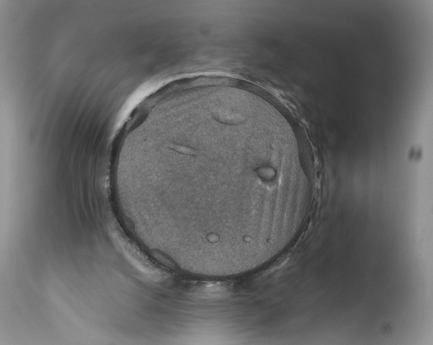 X0000110930056200907091531