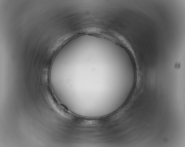 X0000110930057200907091531