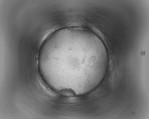 X0000110930059200907091531