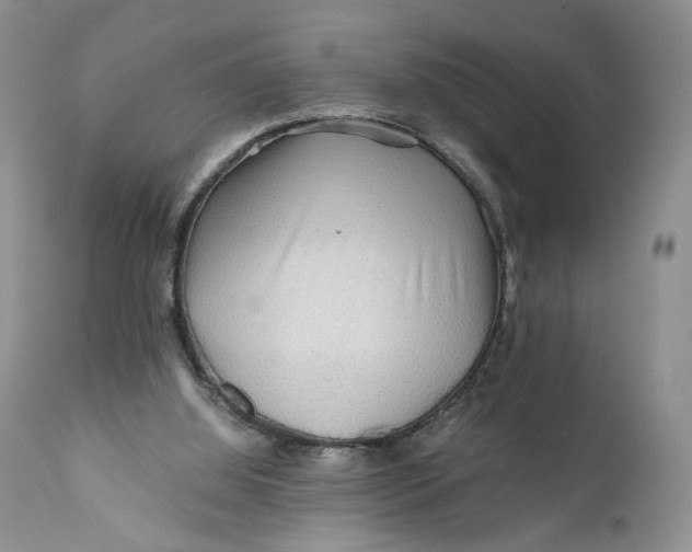 X0000110930060200907091531