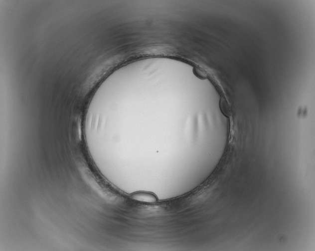 X0000110930061200907091531