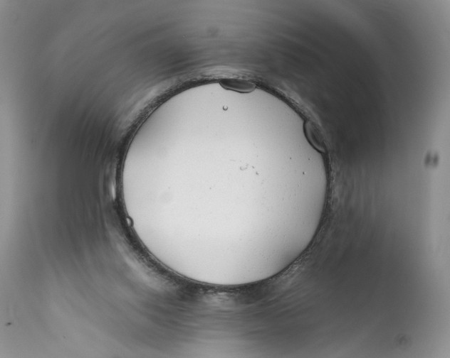 X0000110930062200907091531