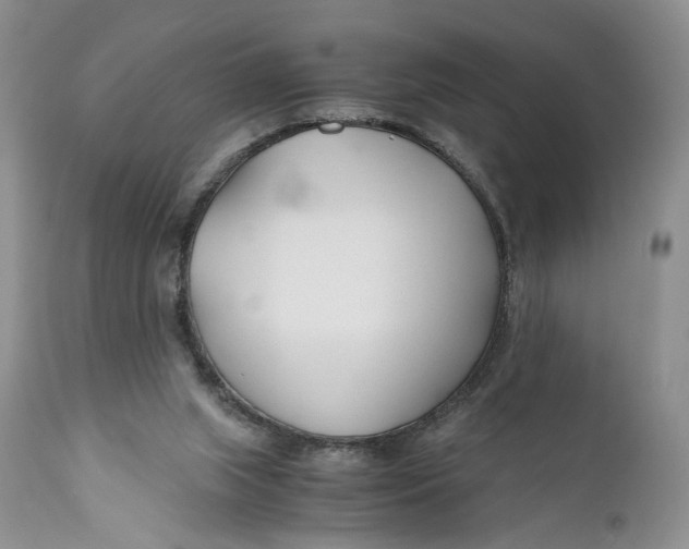 X0000110930063200907091531