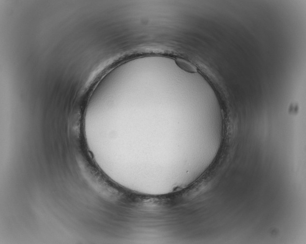 X0000110930064200907091531