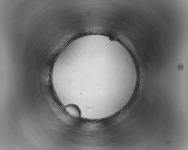 X0000110930065200907091531