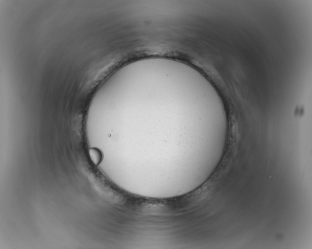 X0000110930066200907091531