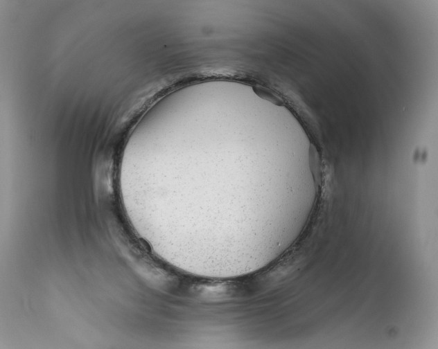 X0000110930068200907091531