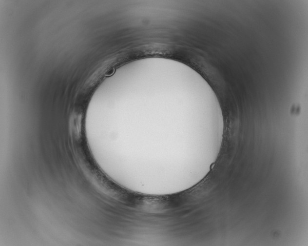 X0000110930070200907091531