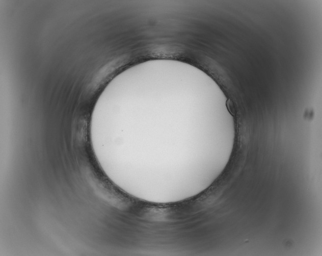 X0000110930071200907091531